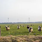 Hof Friesenruhe - Hofkoje * Hogel